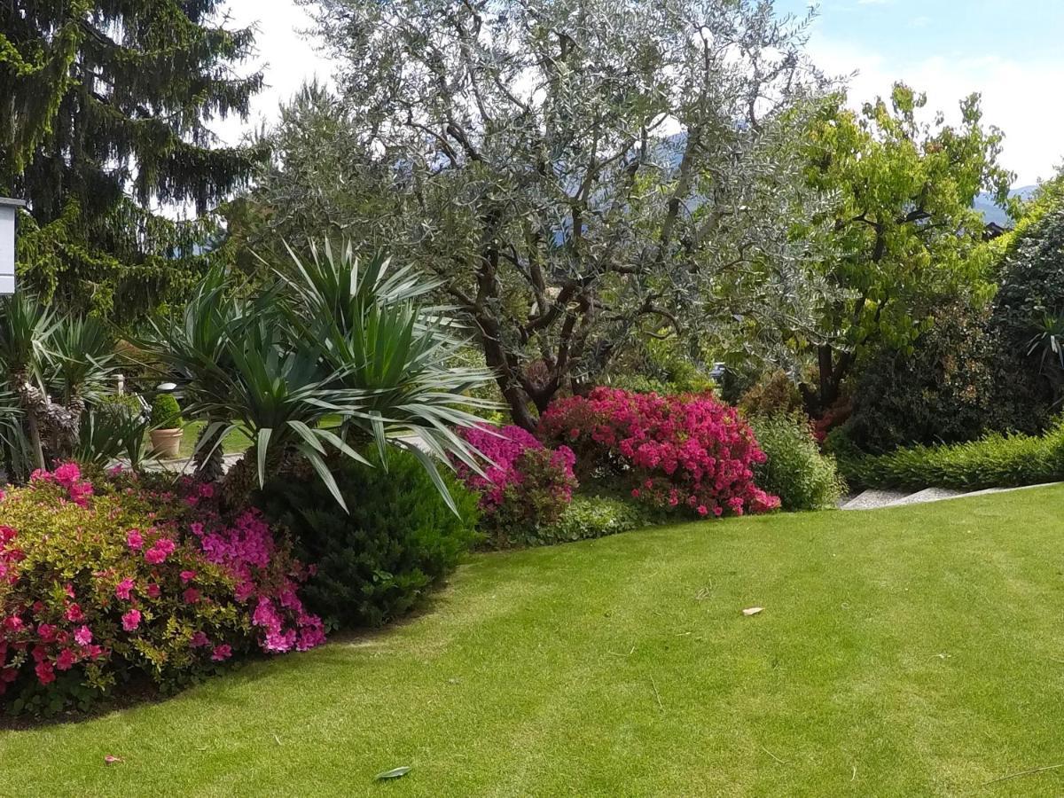 Abies Lago Di Como Dongo Dış mekan fotoğraf