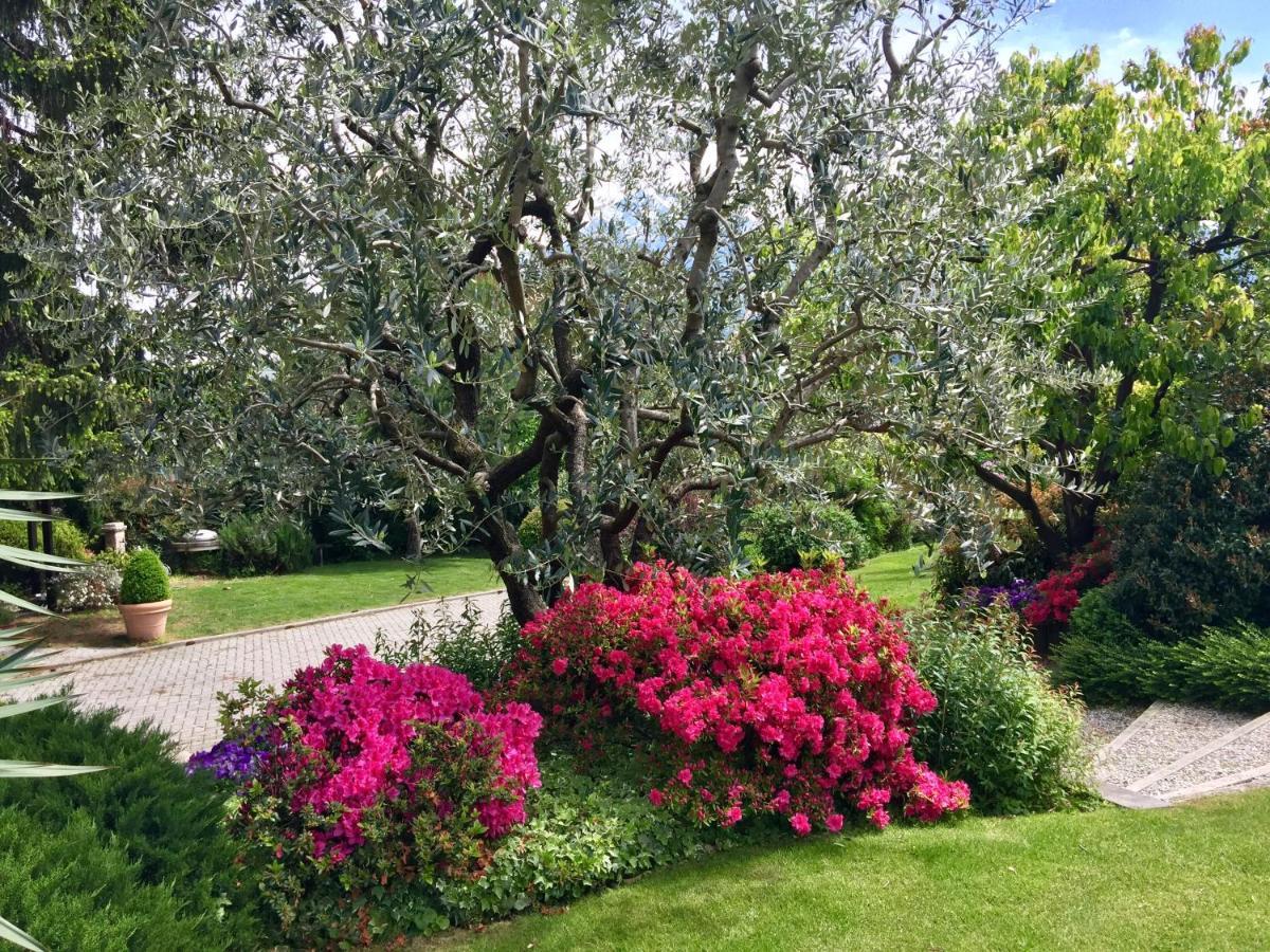 Abies Lago Di Como Dongo Dış mekan fotoğraf