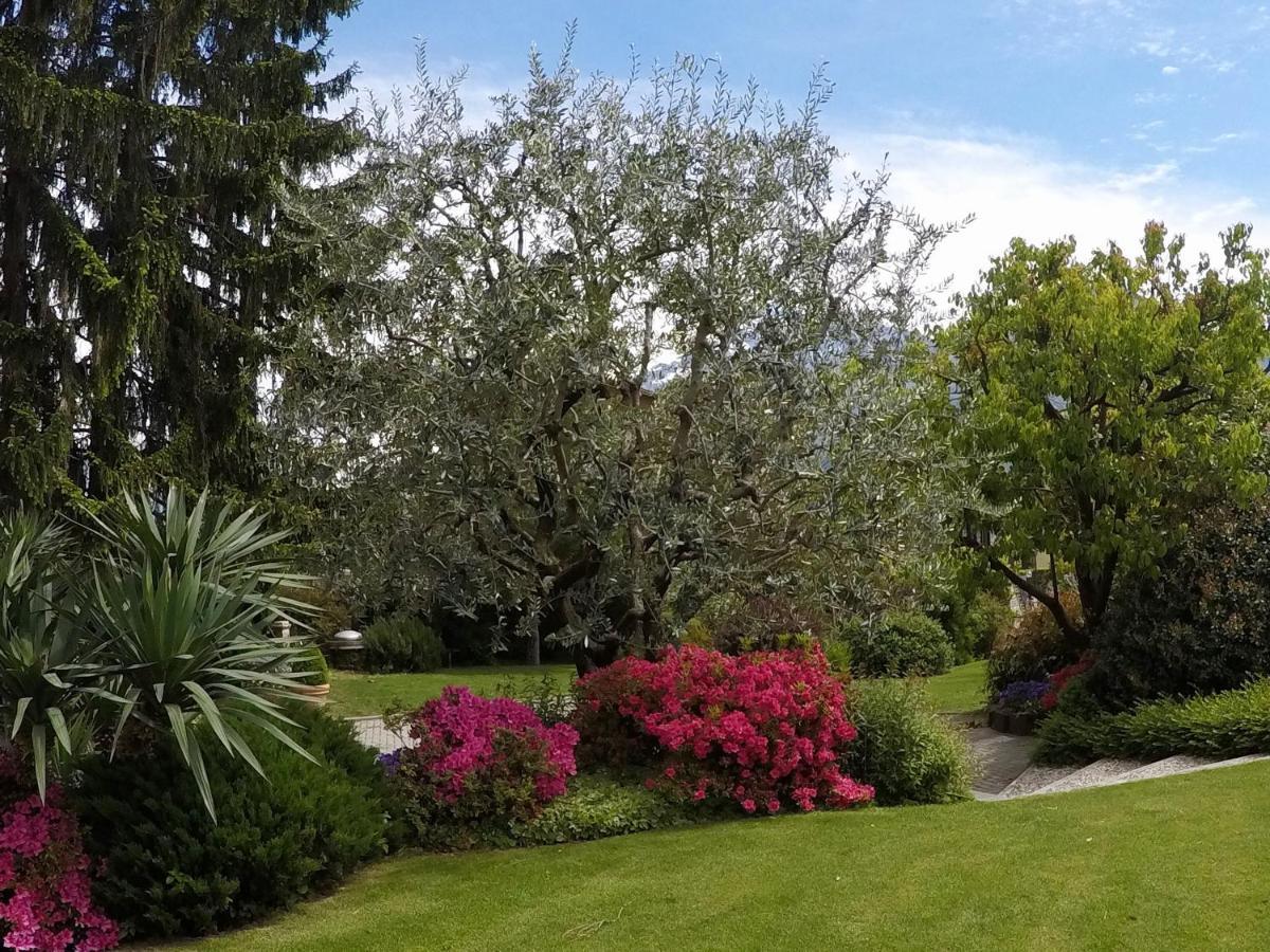 Abies Lago Di Como Dongo Dış mekan fotoğraf