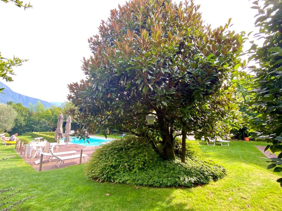 Abies Lago Di Como Dongo Dış mekan fotoğraf